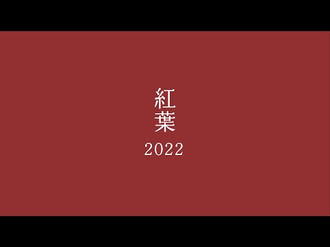 紅葉2022