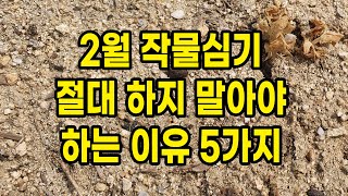 2월 작물 심기 절대 하지 말아야 하는 이유 5가지