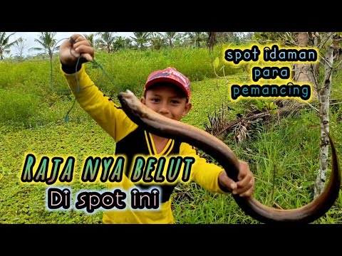 Detik detik terselamatkan nya belut purba, bocil andalan di luar dugaan sampai gemeteran