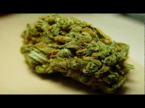 50 Carrot - Original Haze [HD]