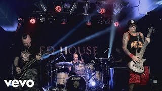 A.N.I.M.A.L - Combativo (En Vivo)