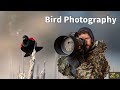 BIRD PHOTOGRAPHY | SHARP photos | PRO tips using the BEST camera settings for wildlife | Nikon Z9