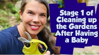 Definitely Got Attacked By Bees | Fall Garden Vlog