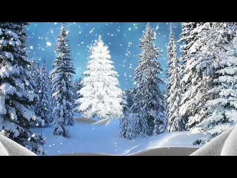 Футаж Зимний лес 1