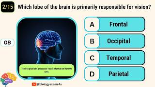 The Human Brain Quiz || MCQ Interactive Quiz on Brain-Human Physiology Quiz- Brain