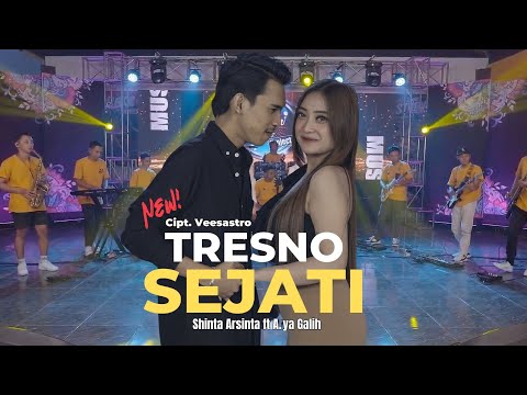 Shinta Arsinta ft Arya Galih - Tresno Sejati | Care Music ( Official Live Video )