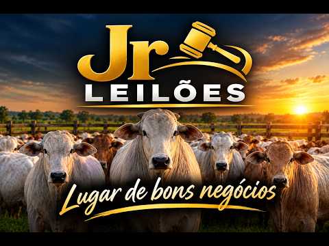 JR LEILÕES - VIANÓPOLIS -GO - 21/10/2026