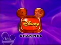 Disney Channel Buena Vista International Inc 2001 2006