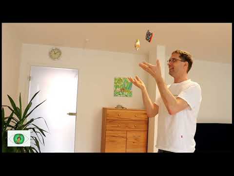 ENWAKO 22: Übung Fixieren, Peripherie und Bewegung