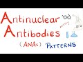 Antinuclear Antibodies (ANA) and their patterns 🧪