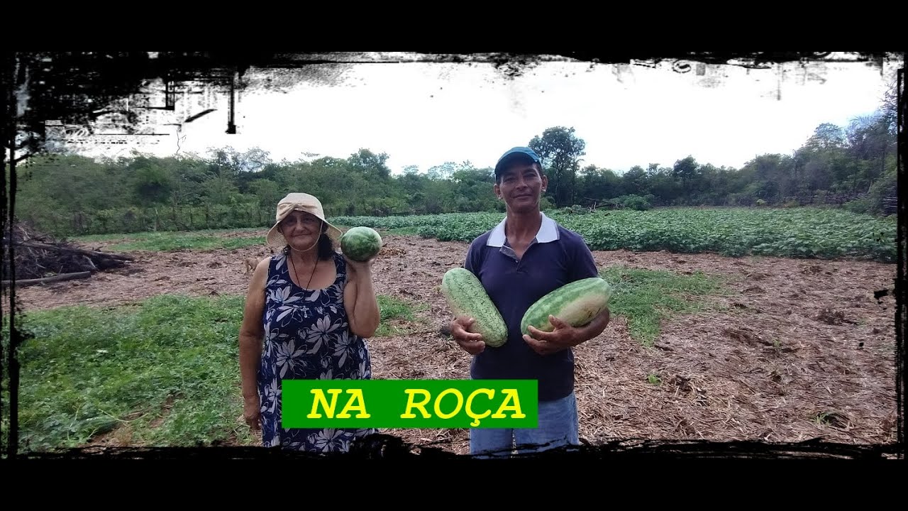DEPOIS DA CHUVA  FOMOS PEGAR MELANCIA COM ZÉ MARIA NA ROÇA DE MÃE