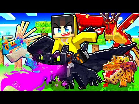 EJDERHA ADASI BAŞLANGIÇ 🐉🐲