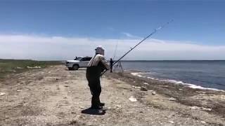 Календарь как ловить кутума на каспии