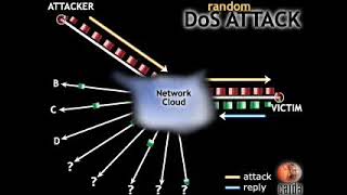 Backscatter Analysis