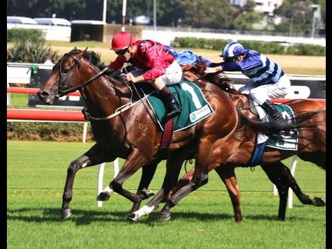 RANDWICK GUINEAS-7 MAR RANDWICK