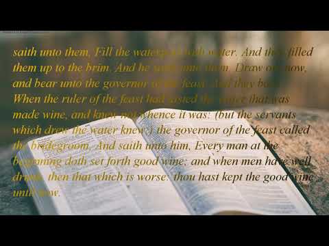 The Holy Bible | book 43 - John - Chapter 02