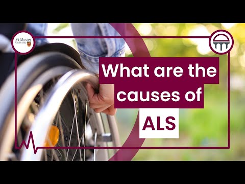 What are the causes of ALS?