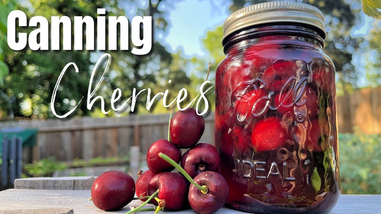 How to Preserve Cherries-3 Simple Ingredients #cherry #homemade #canning