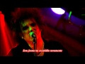 The Cure - The Hanging Garden TRADUÇÃO ...