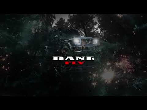 Bane - Fly