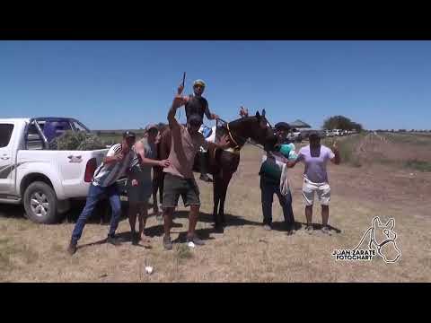 Todas las carreras de Antelo