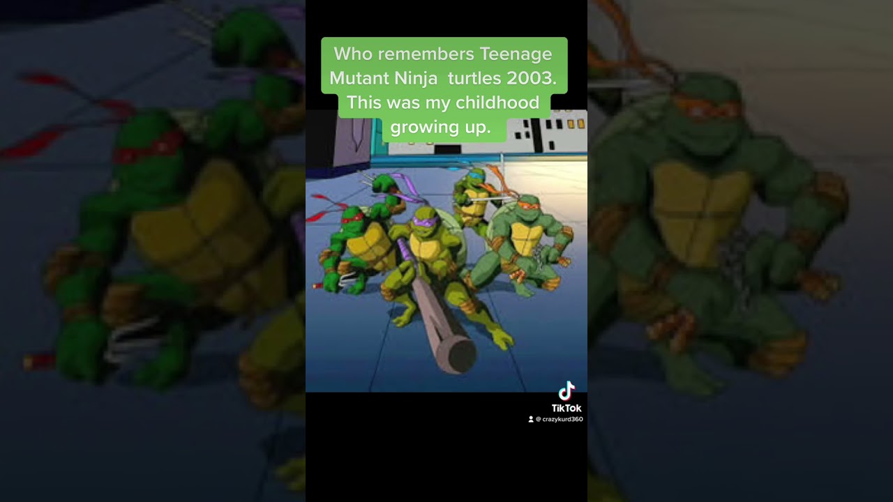 Who Remembers TMNT 2003￼