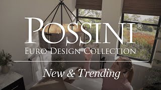 Watch A Video About the Possini Euro Julian 22 Wide Rustic Silver Metal Drum Pendant Light