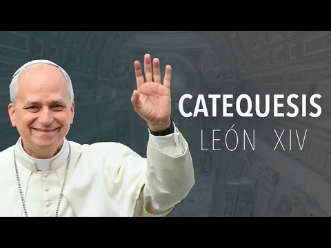 Catequesis del Papa Leon 2026-01-28 DEI VERBUM