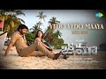 Yedo Yedo Maaya Video Song Bhimaa Gopichand Malvika Sharma Ravi Basrur Anurag Kulkarni