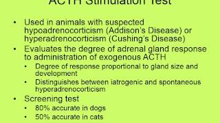 MBC Vet Tech Online Review 3.3 - Clinical Chemistry III