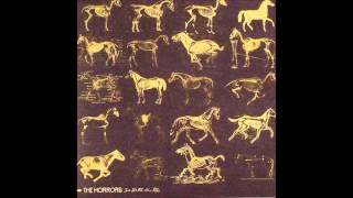 The Horrors - She Is The New Thing