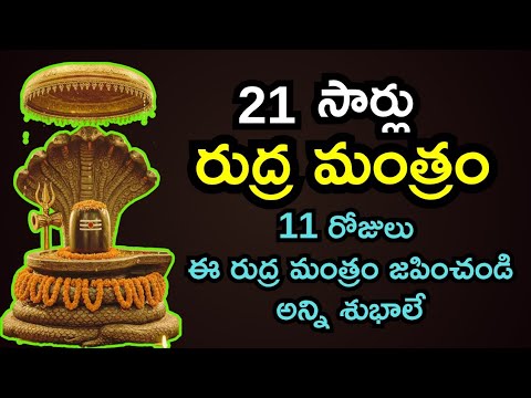 21 times Rudhra Mantram | రుద్ర  మంత్రం జపం  సర్వం శుభమయం | Om Namah Shivaaya @ManyInOne-27
