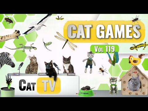 CAT Games | Ultimate Cat TV Compilation Vol 119 | 6 HOURS - YouTube