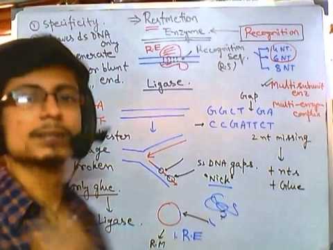 Ligase: The Molecular Matchmaker | Vibepedia