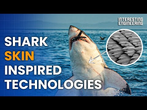 YouTube video about Discover How Sharkskin Can Improve Your Swim Experience