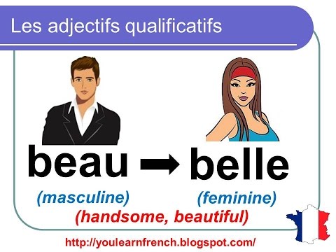 French Lesson 95 - MUST KNOW Common Most used Adjectives - Adjectifs qualificatifs communs