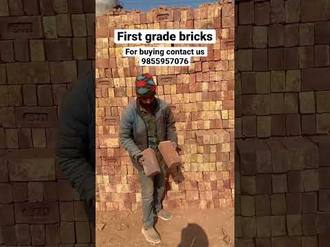 Best quality bricks from punjab#short #business #motivation