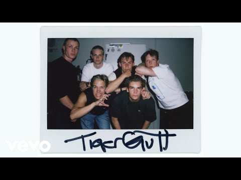 Tigergutt101 - Samma det (Pseudo Video)