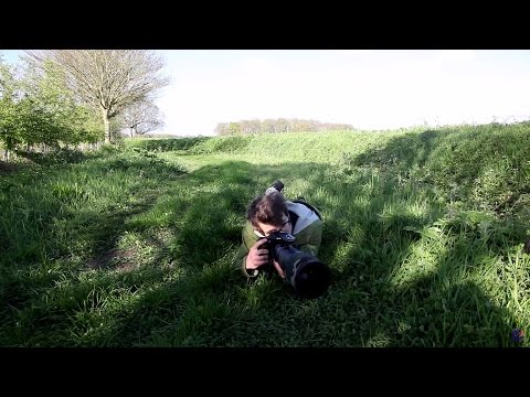 Life in the Wild Part 12: Field Skills 101