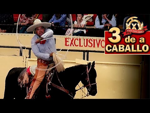 Rancho El Trebol - 3 of 3 Horseback Riding Manganas - 2022 THV Millionaire Championship