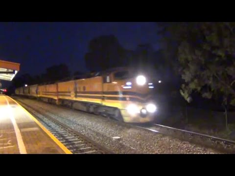 1411S Port Pirie Grain Train passing Parafield Gardens