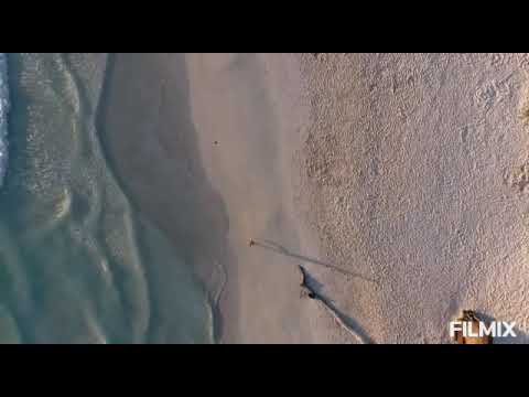 As coisas que errei na vida - Fernando Pessoa