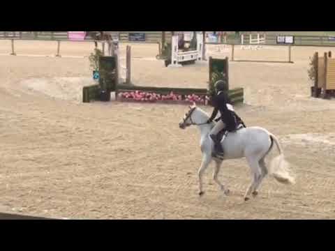 Jet Blue - Pony Hunter Derby