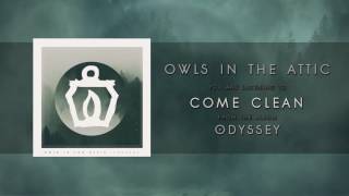 Owls in the Attic - Come Clean
