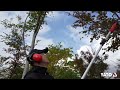 Yato akumuliatorinė žoliapjovė 18V 2Ah Li-Ion 30cm (YT-82830) pilnas komplektas