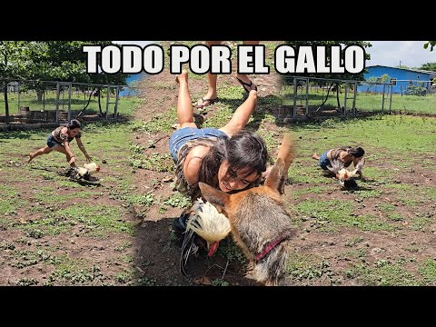 Alma chases with all her might to win him over.