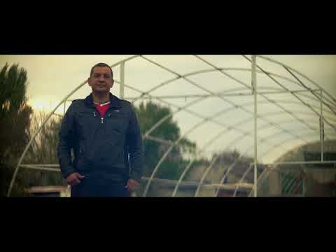 Максим Новак, тепличне господарство, Гірське / Maksym Novak, commercial greenhouse, Hirske