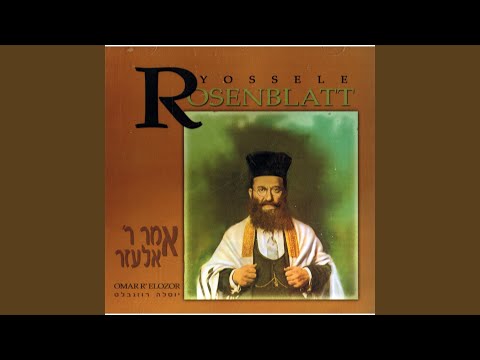 Omar Rabbi Elozor
