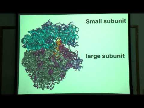 Ada Yonath at GYSS 2022 – Exploiting Genetic Code Translation Principles for Next-Gen Therapeutics