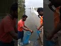 Fish Hunting Fishing Fish Kaveririver
